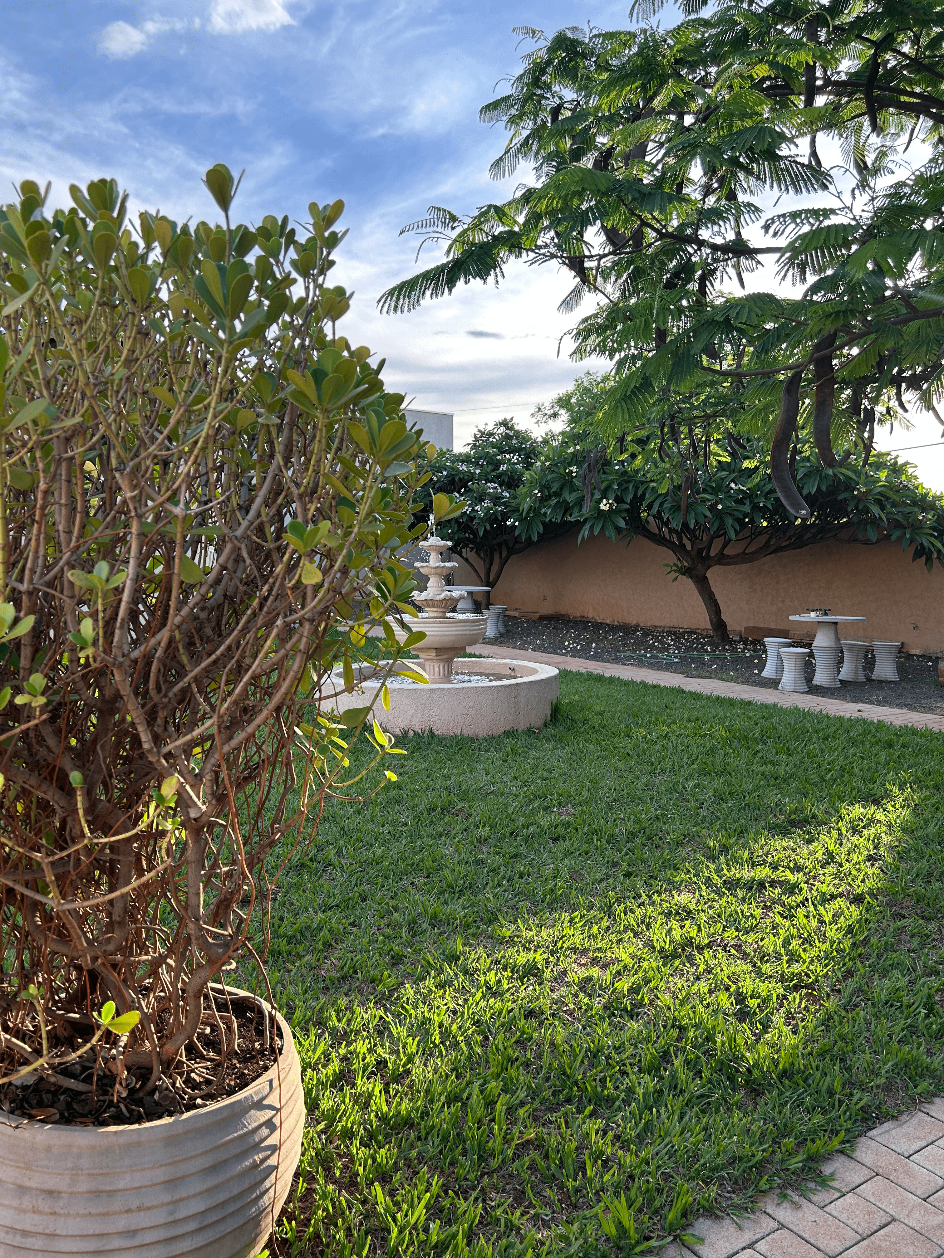 Jardim com árvores frutíferas e fonte no Recanto dos Jerivás